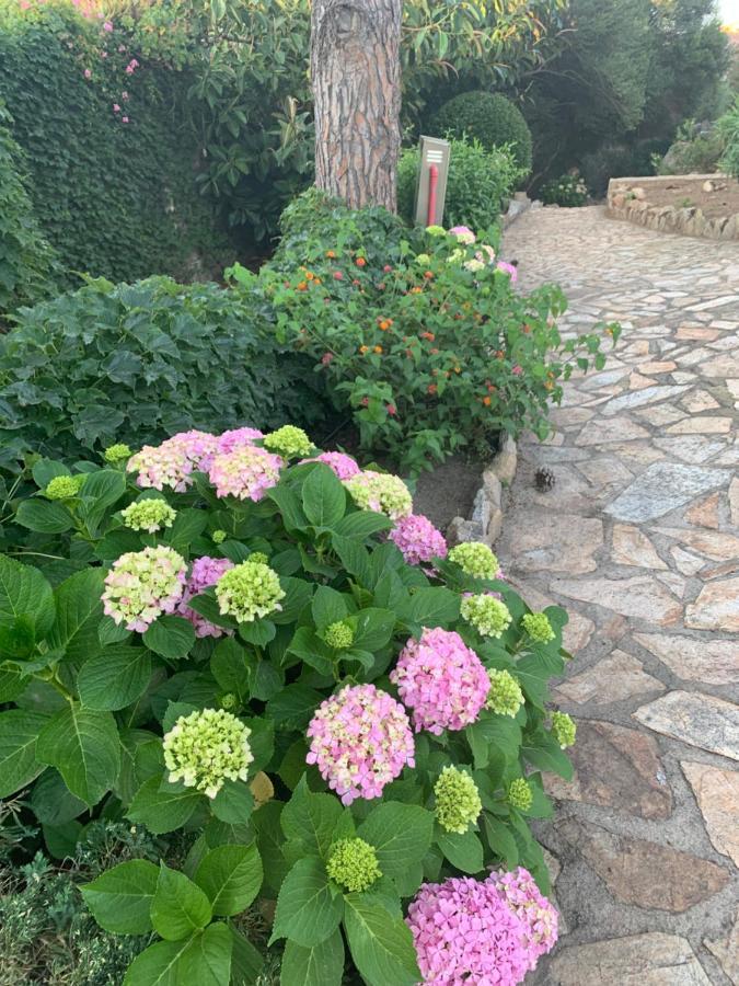 Casa Bougainvillea Casa Azara Esterno foto