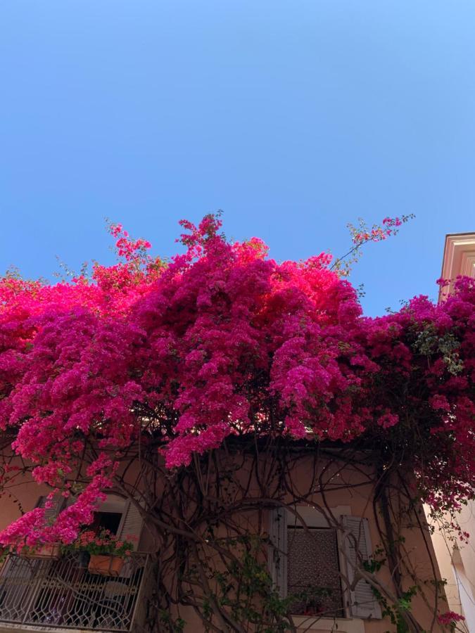 Casa Bougainvillea Casa Azara Esterno foto